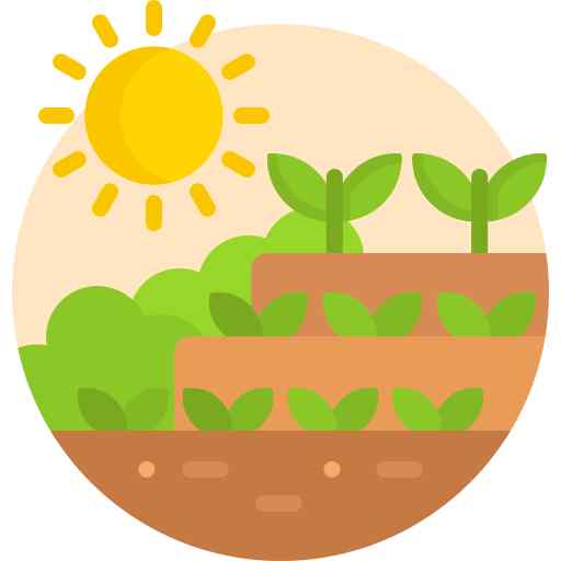 Step Garden in Gachibowli Villa